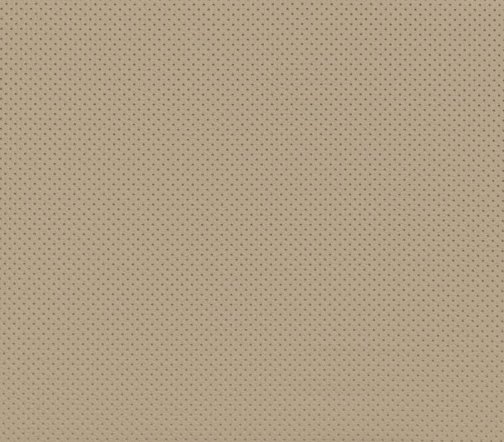 Автомобильный кожзаменитель AUTO E 22 BEIGE