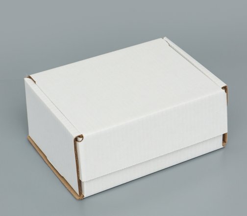 Коробка самосборная, белая, 22х16,5х10 см 5094811
